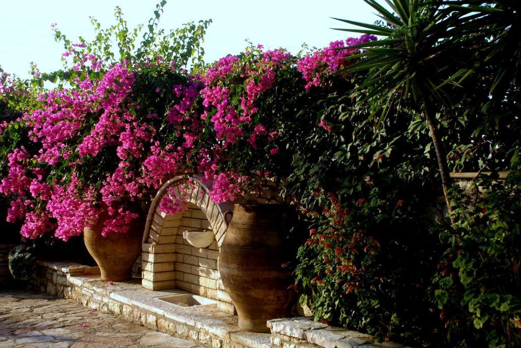 Villa Petra Kalamaki (Messinia) Exterior foto